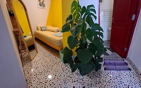 The Backyard Hostel